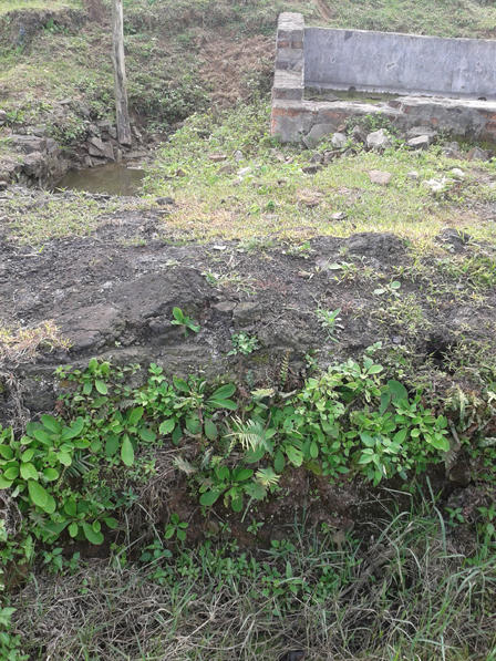 Phát hiện kinh hoàng từ "nhà máy lọc dầu" trong... lò gạch